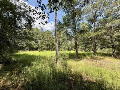 This prime hunting & timber investment is located in the Vinegar - photo 38