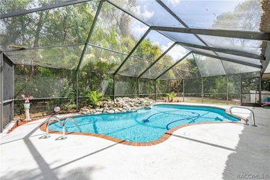 This charming 3-bedroom, 2-bath pool home with an oversized - photo 38