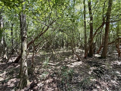 This prime hunting & timber investment is located in the Vinegar - photo 39