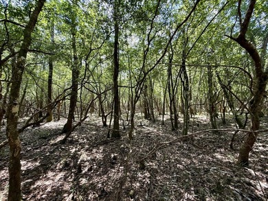 This prime hunting & timber investment is located in the Vinegar - photo 40
