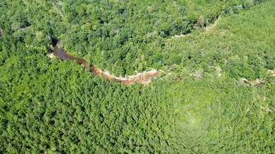 This prime hunting & timber investment is located in the Vinegar - photo 41
