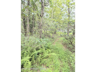 (private lake, pond, coastal) Lot For Sale in Scotrun Pennsylvania