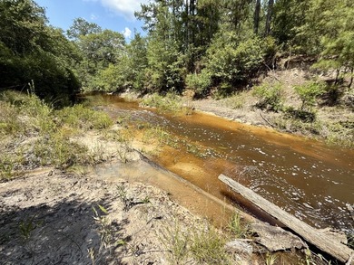 This prime hunting & timber investment is located in the Vinegar - photo 42