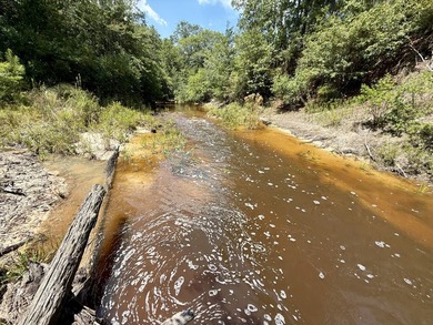This prime hunting & timber investment is located in the Vinegar - photo 43