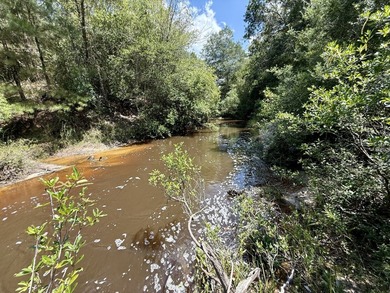 This prime hunting & timber investment is located in the Vinegar - photo 44