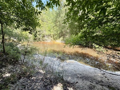 This prime hunting & timber investment is located in the Vinegar - photo 46