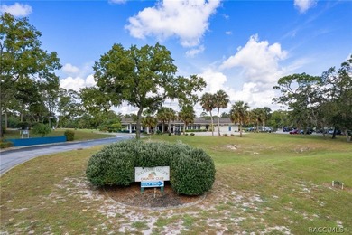 This charming 3-bedroom, 2-bath pool home with an oversized - photo 46