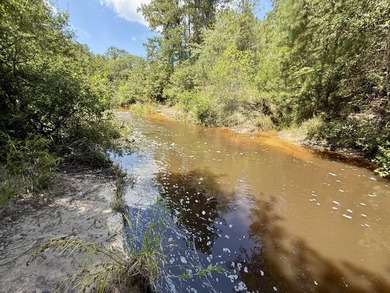 This prime hunting & timber investment is located in the Vinegar - photo 47