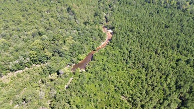 This prime hunting & timber investment is located in the Vinegar - photo 48