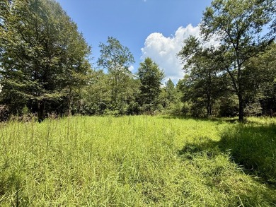 This prime hunting & timber investment is located in the Vinegar - photo 50