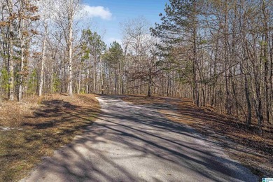 Main Channel Waterfront building lot with 2 Acres on Lay Lake - photo 2