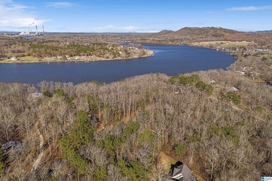 Main Channel Waterfront building lot with 2 Acres on Lay Lake - photo 3