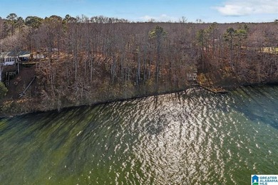 Main Channel Waterfront building lot with 2 Acres on Lay Lake - photo 4