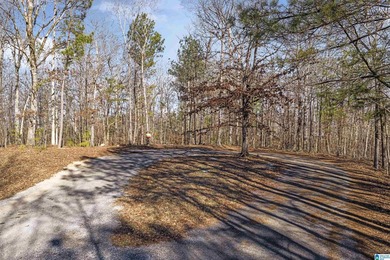 Main Channel Waterfront building lot with 2 Acres on Lay Lake - photo 5