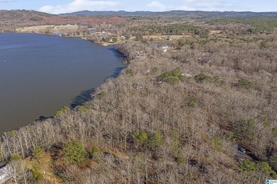 Main Channel Waterfront building lot with 2 Acres on Lay Lake - photo 8
