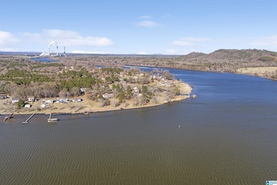 Main Channel Waterfront building lot with 2 Acres on Lay Lake - photo 9