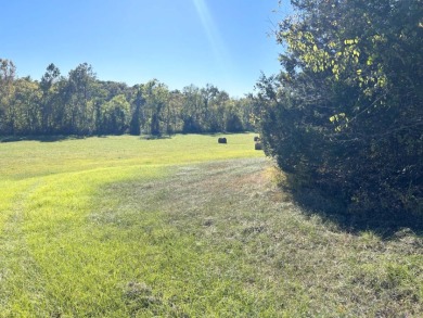 Diamond in the Rough River Property - photo 9
