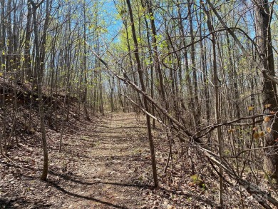 (private lake, pond, coastal) Acreage For Sale in Nebo North Carolina