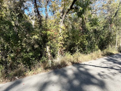 Diamond in the Rough River Property - photo 7