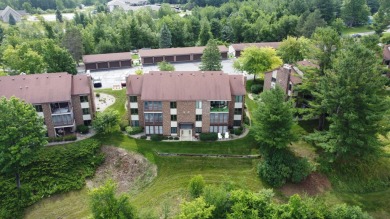 Lake Condo For Sale in Williamsburg, Michigan