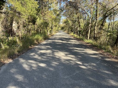 Diamond in the Rough River Property - photo 8