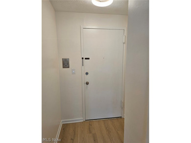 Recently remodeled throughout, this unit offers everything you - photo 11
