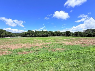 8.38 ACRES, m/l, Excellent Acreage Tract with LOTS of room for - photo 11