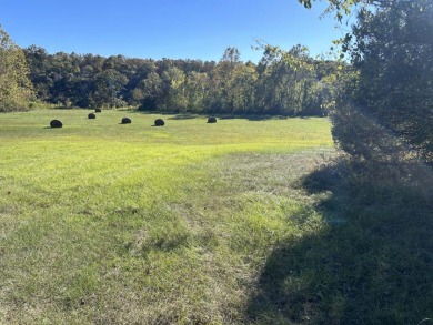 Diamond in the Rough River Property - photo 6