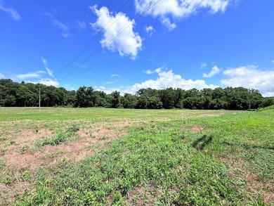 8.38 ACRES, m/l, Excellent Acreage Tract with LOTS of room for - photo 15