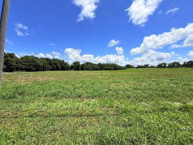 8.38 ACRES, m/l, Excellent Acreage Tract with LOTS of room for - photo 18