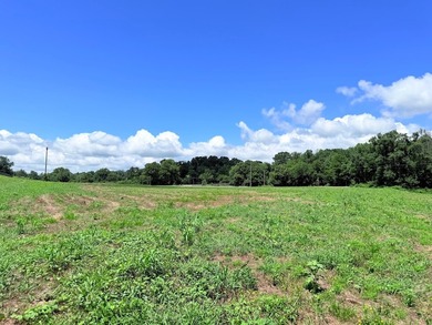 8.38 ACRES, m/l, Excellent Acreage Tract with LOTS of room for - photo 19