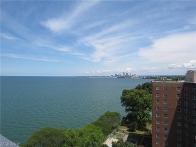 Recently remodeled throughout, this unit offers everything you - photo 20