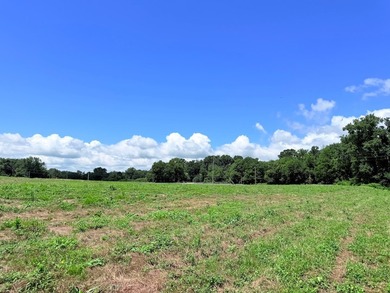 8.38 ACRES, m/l, Excellent Acreage Tract with LOTS of room for - photo 20