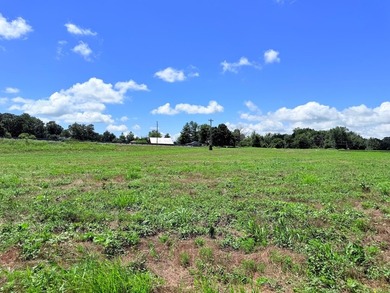 8.38 ACRES, m/l, Excellent Acreage Tract with LOTS of room for - photo 21