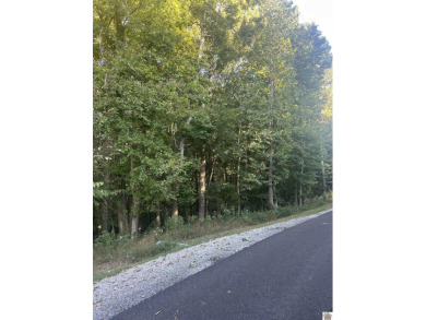 Lake Acreage For Sale in Cadiz, Kentucky