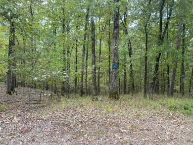 Lake Granada Lot For Sale in Hot Springs Village Arkansas