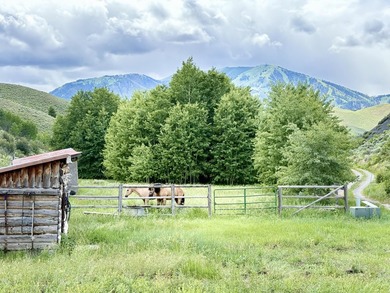 Sun Valley Legacy Estate & Development Masterpiece. Discover the - photo 1