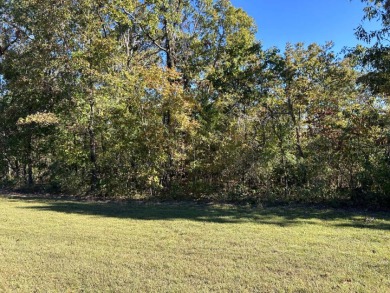 Diamond in the Rough River Property - photo 4