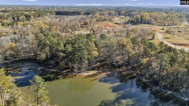 Come discover Woodside Shores, a refreshing new lakefront - photo 11