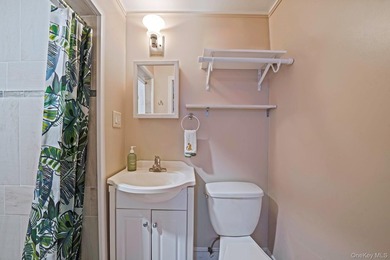Beautiful West Islip Colonial on a huge double lot with - photo 19