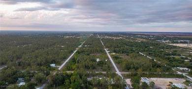 Lehigh Acres Area Lot For Sale in Lehigh Acres Florida