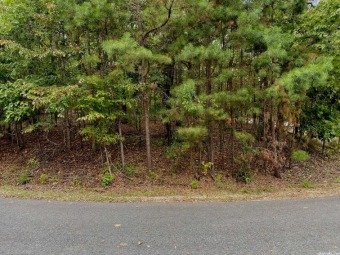 Lake Granada Lot For Sale in Hot Springs Village Arkansas