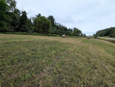 Lake Acreage For Sale in Woodhull, New York