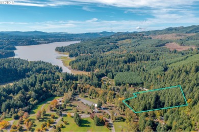 Foster Lake Lot For Sale in Sweethome Oregon