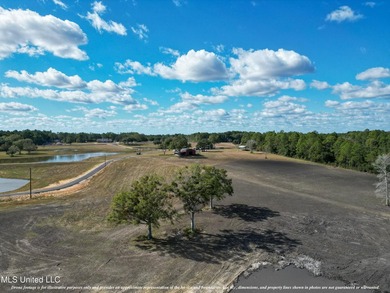 This stunning 13.61 acre property off of Hwy 603 offers a - photo 2