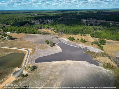 (private lake, pond, creek) Acreage For Sale in Kiln Mississippi