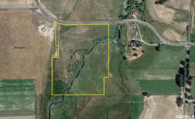 (private lake, pond, creek) Acreage For Sale in Mona Utah