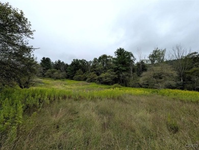 Lake Acreage For Sale in Woodhull, New York