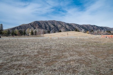 Sunny, flat vacant lot in the desirable Sunbeam neighborhood - photo 1