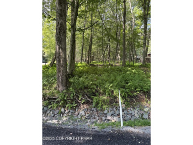 Lake Lot For Sale in Pocono Lake, Pennsylvania